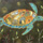Journeys: Sea Turtle